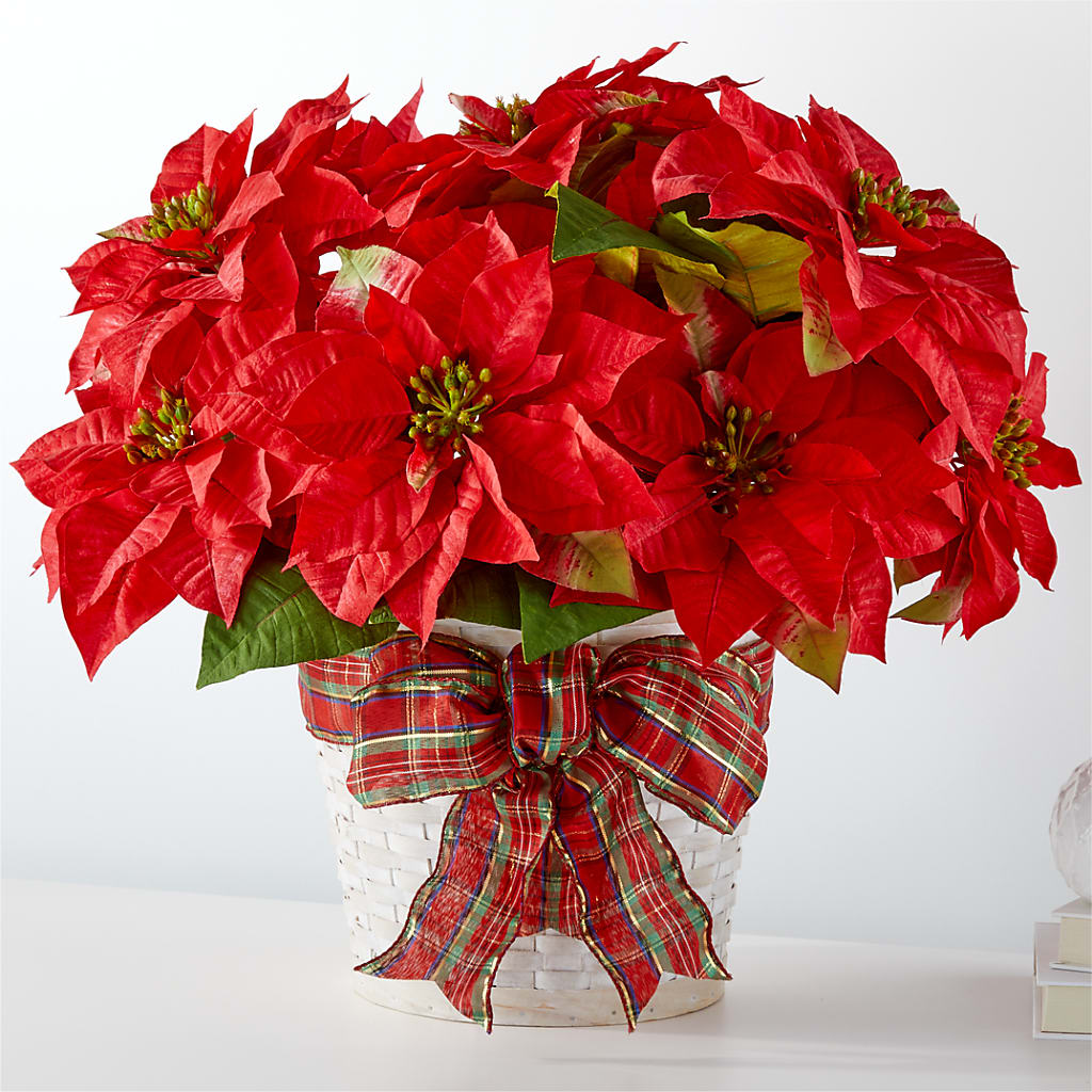 Happiest Holidays Poinsettia – HOLLOW TREE GIFTS & FLORAL LLC, Cascade IA