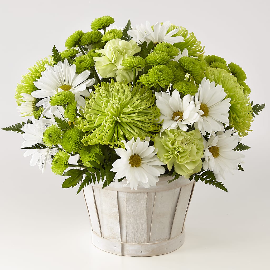 Lucky Charm Basket (Standard) – HOLLOW TREE GIFTS & FLORAL LLC, Cascade IA