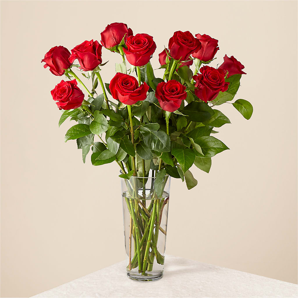 Long Stem Red Rose Bouquet – HOLLOW TREE GIFTS & FLORAL LLC, Cascade IA