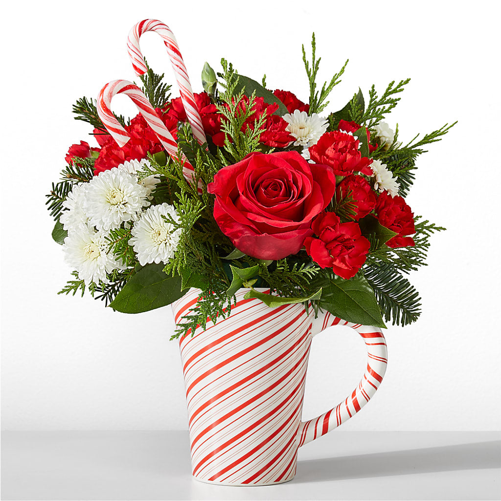Peppermint Swirl Mug – HOLLOW TREE GIFTS & FLORAL LLC, Cascade IA