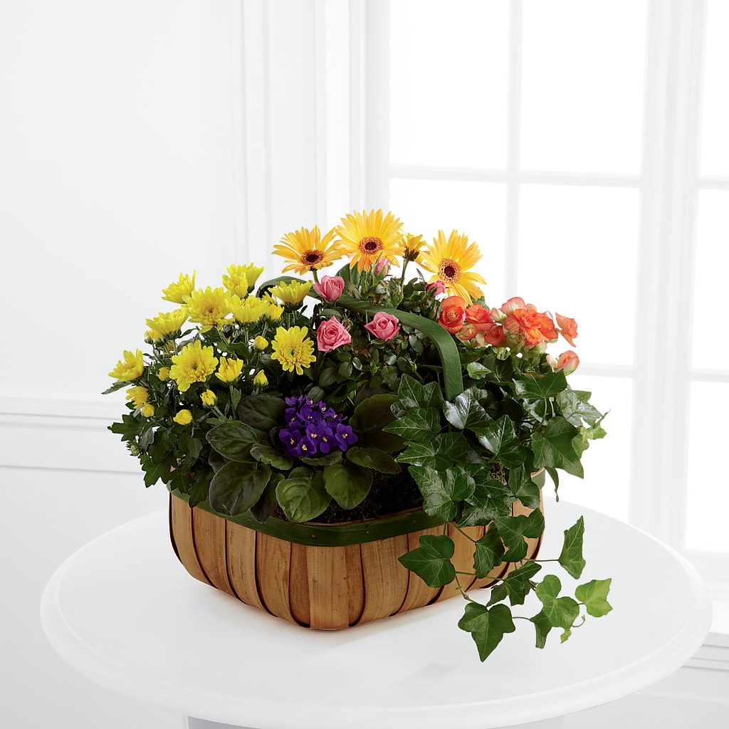 Gentle Blossoms Basket – HOLLOW TREE GIFTS & FLORAL LLC, Cascade IA
