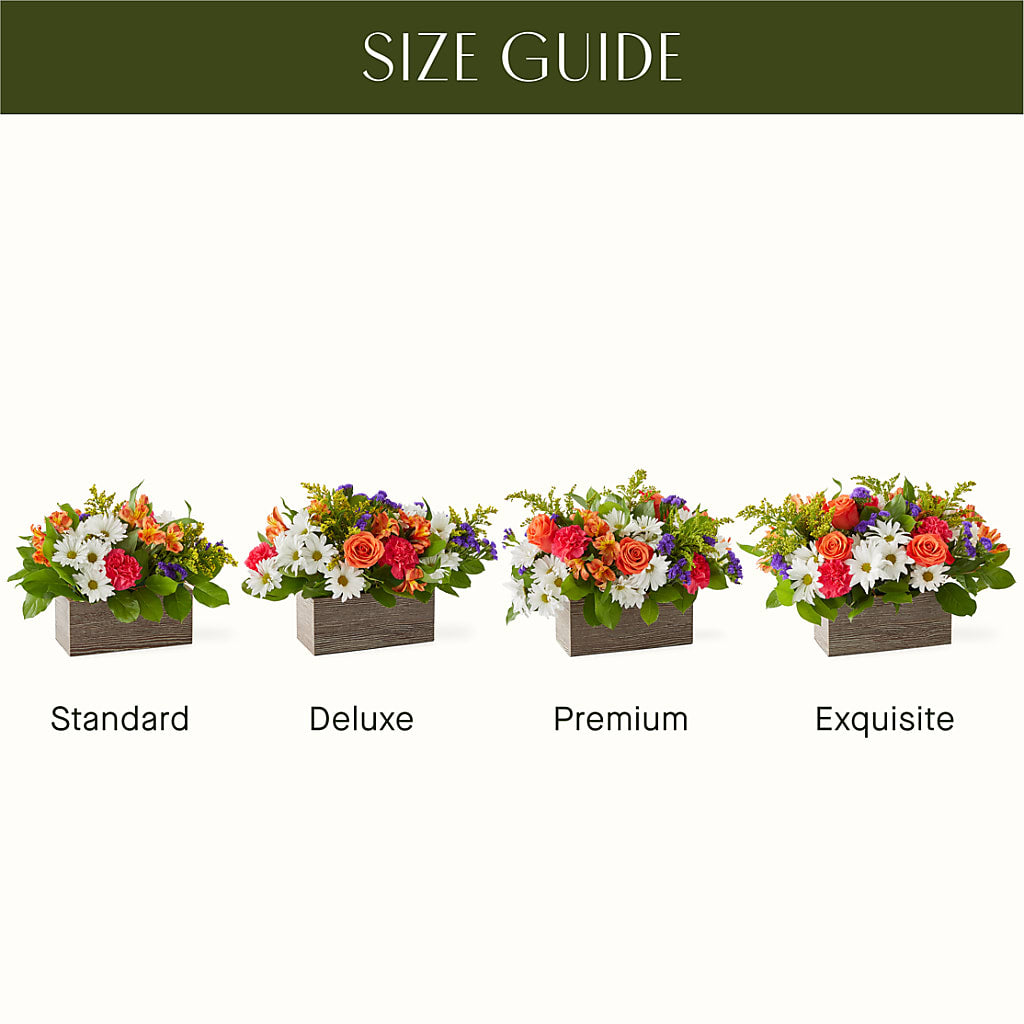 Oopsie Daisy Box Bouquet – HOLLOW TREE GIFTS & FLORAL LLC, Cascade IA