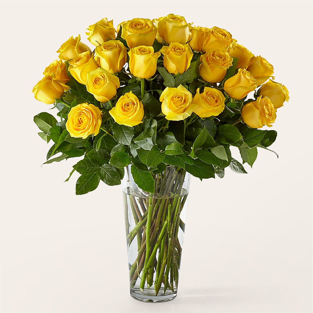 Long Stem Yellow Rose Bouquet – HOLLOW TREE GIFTS & FLORAL LLC, Cascade IA