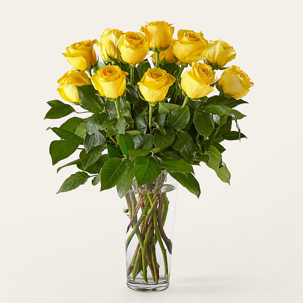 Long Stem Yellow Rose Bouquet – HOLLOW TREE GIFTS & FLORAL LLC, Cascade IA