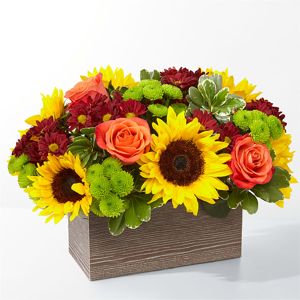 Happy Harvest Garden – HOLLOW TREE GIFTS & FLORAL LLC, Cascade IA