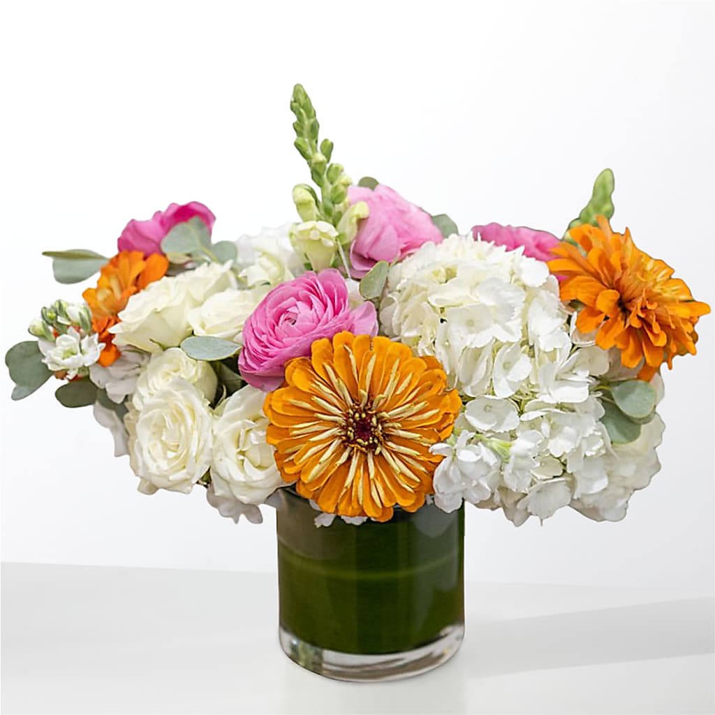 The Meet Cute – HOLLOW TREE GIFTS & FLORAL LLC, Cascade IA