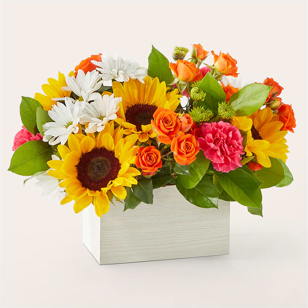 Sun-drenched Blooms Box Bouquet – HOLLOW TREE GIFTS & FLORAL LLC, Cascade IA