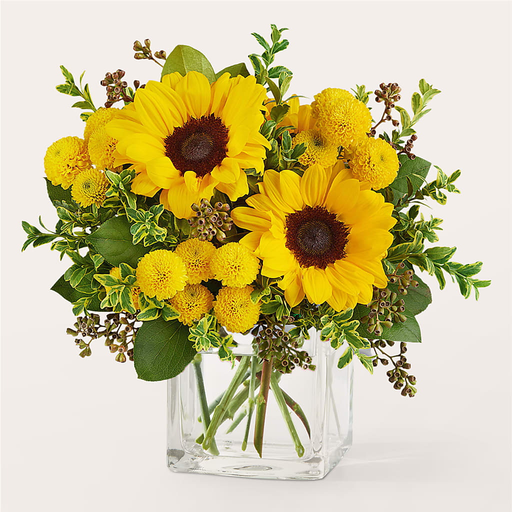 Luminous Morning Bouquet – HOLLOW TREE GIFTS & FLORAL LLC, Cascade IA