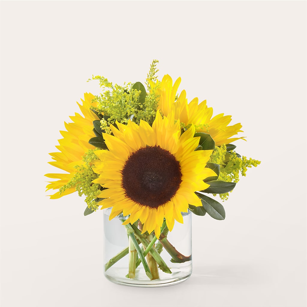 Beaming Sunflower Bouquet – HOLLOW TREE GIFTS & FLORAL LLC, Cascade IA