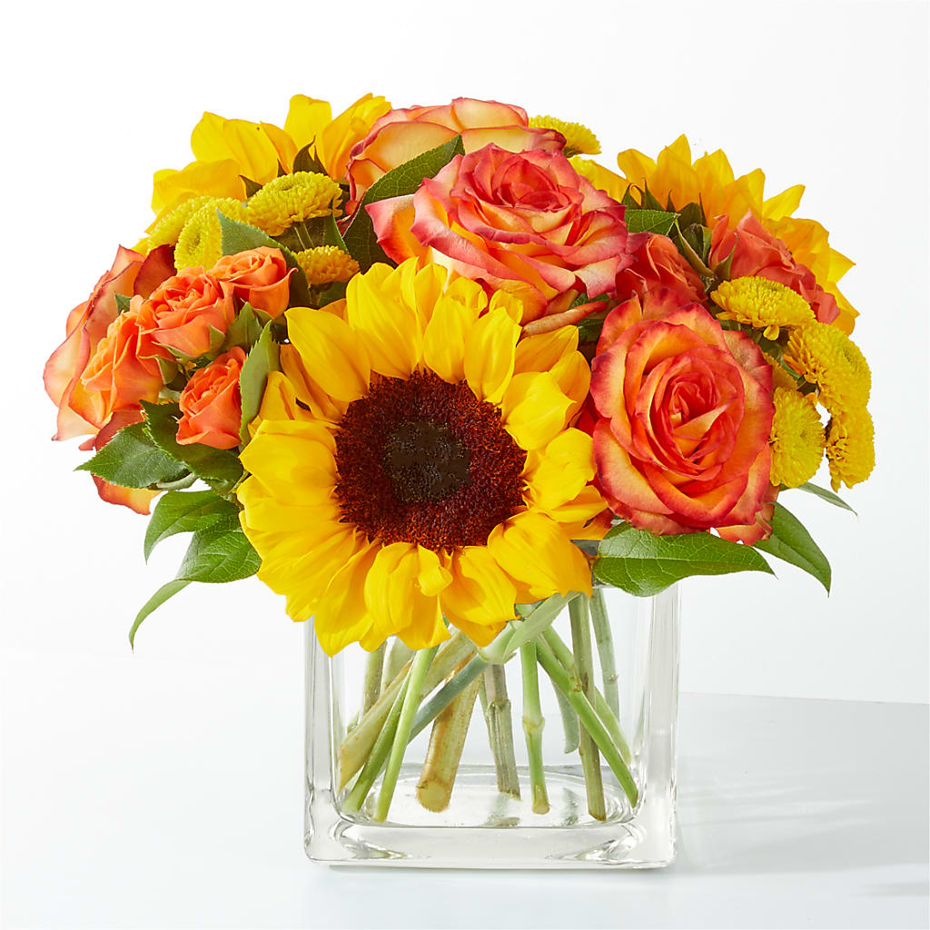 Picnic in the Park Bouquet – HOLLOW TREE GIFTS & FLORAL LLC, Cascade IA