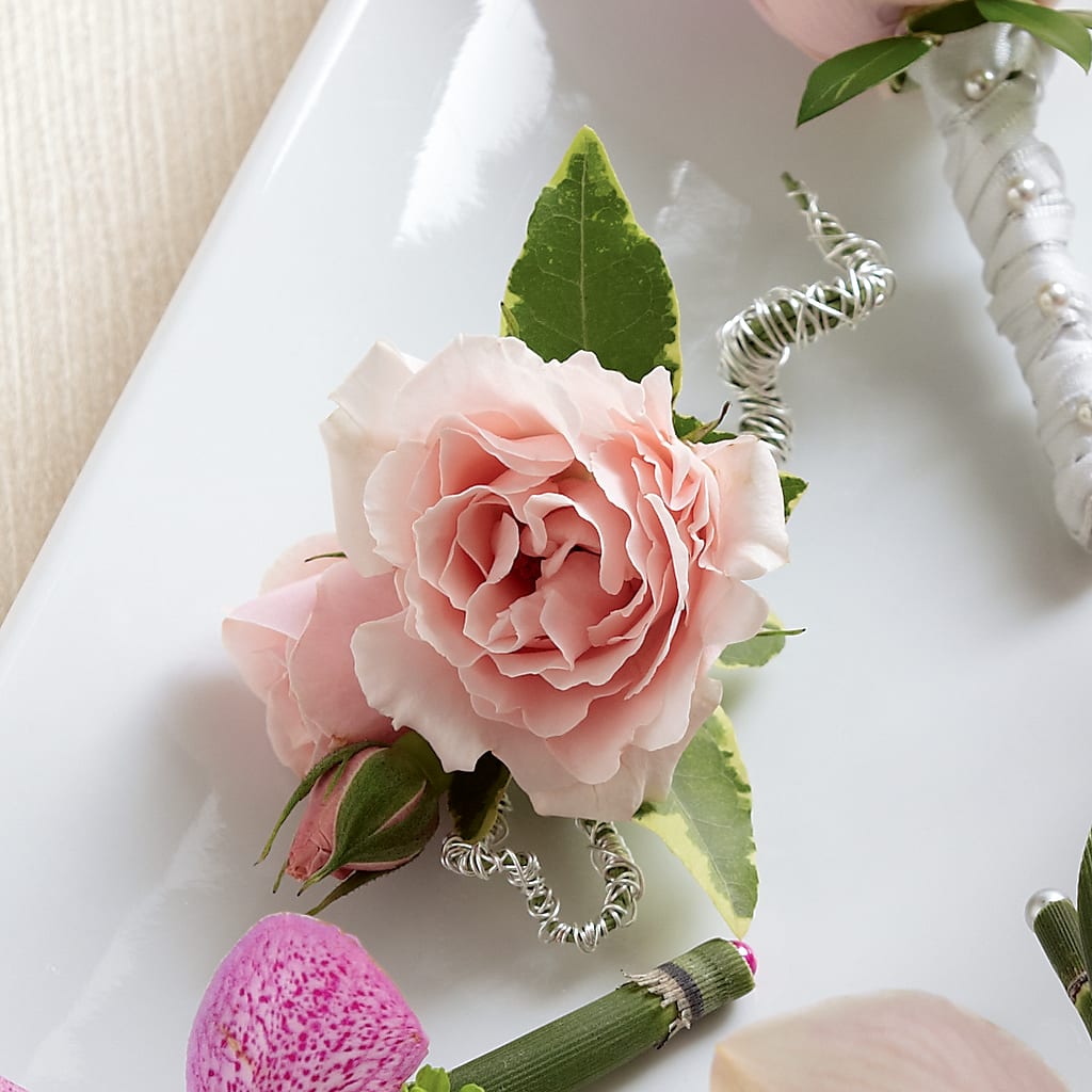 Pink Spray Rose Boutonniere – HOLLOW TREE GIFTS & FLORAL LLC, Cascade IA