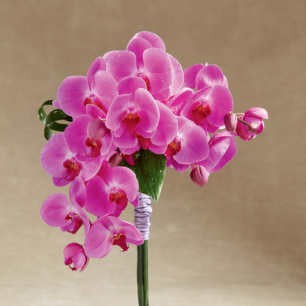 Glorious Bouquet – HOLLOW TREE GIFTS & FLORAL LLC, Cascade IA