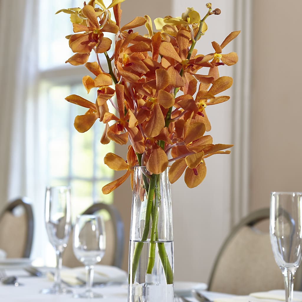 Orange Mokara Bud Vase – HOLLOW TREE GIFTS & FLORAL LLC, Cascade IA