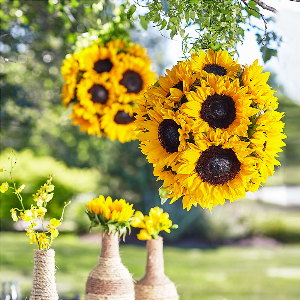 Sublime Garden Hanging Arrangement – HOLLOW TREE GIFTS & FLORAL LLC, Cascade IA