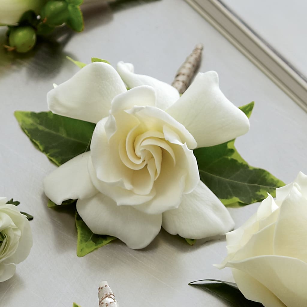 Gardenia Boutonniere – HOLLOW TREE GIFTS & FLORAL LLC, Cascade IA