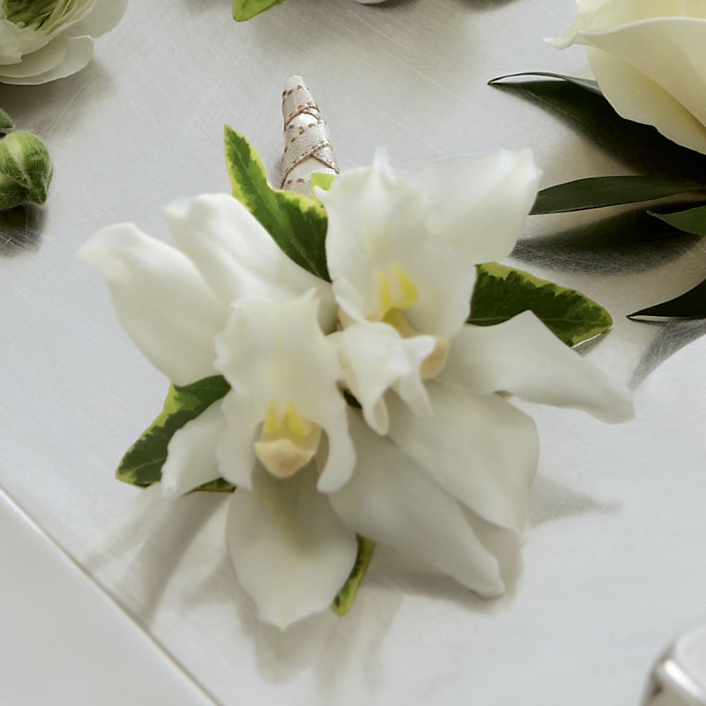 White Mini Cymbidium Boutonniere – HOLLOW TREE GIFTS & FLORAL LLC, Cascade IA