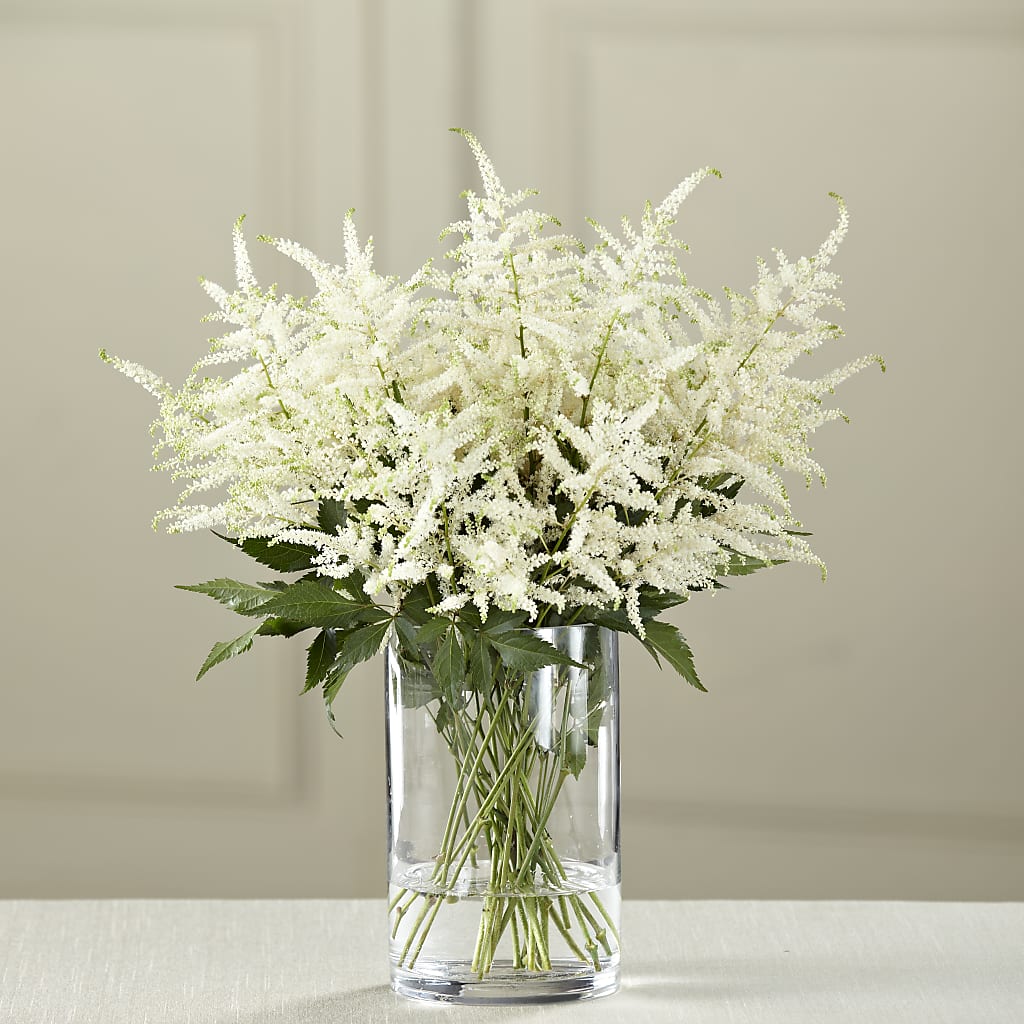 White Astilbe Bouquet – HOLLOW TREE GIFTS & FLORAL LLC, Cascade IA