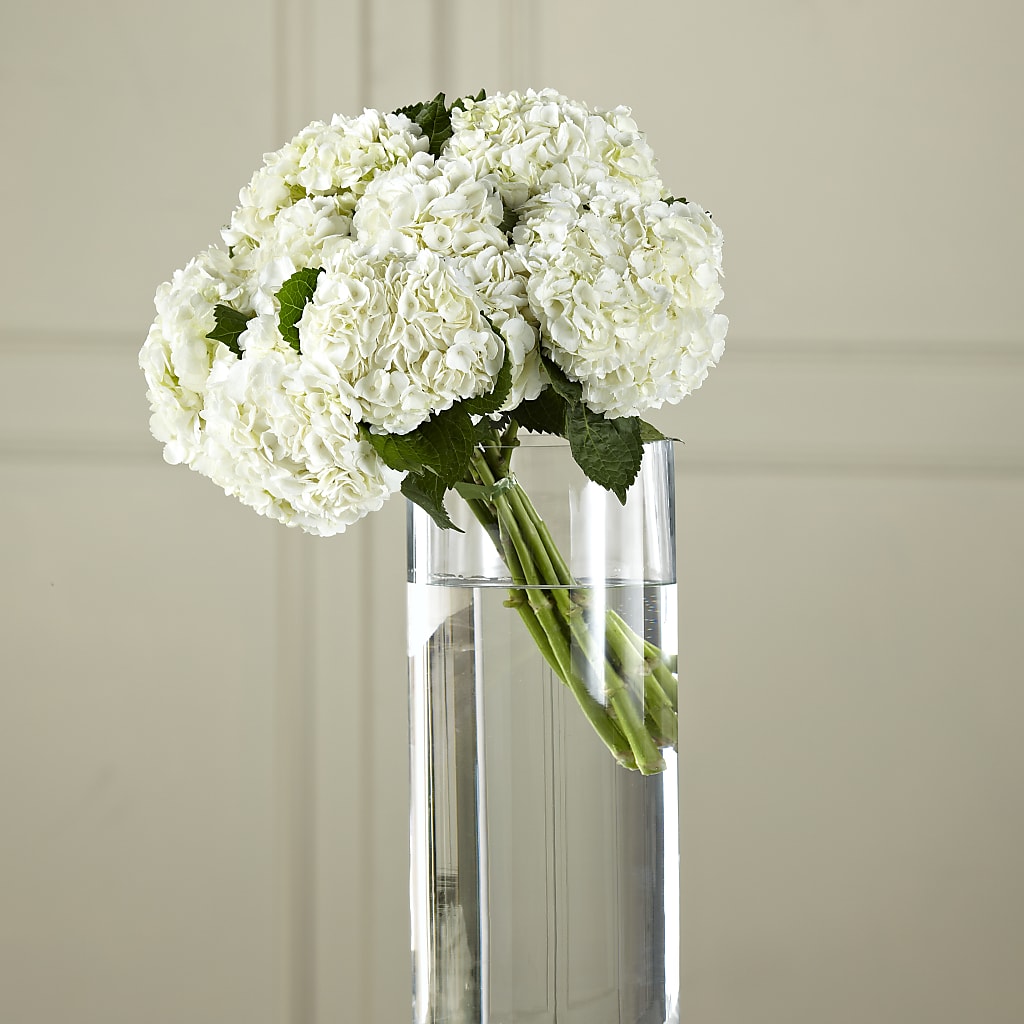 White Hydrangea Hand-Tied Bouquet – HOLLOW TREE GIFTS & FLORAL LLC, Cascade IA