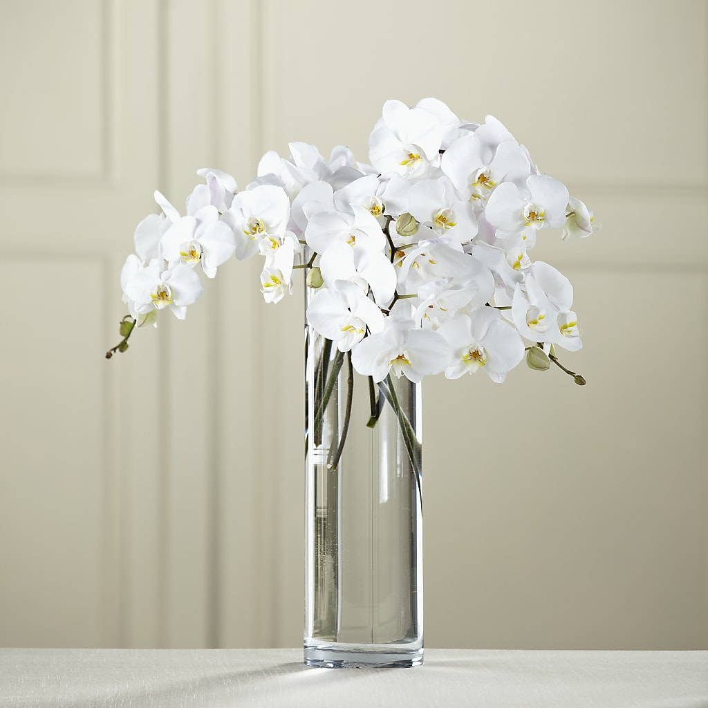 White Phalaenopsis Bouquet – HOLLOW TREE GIFTS & FLORAL LLC, Cascade IA