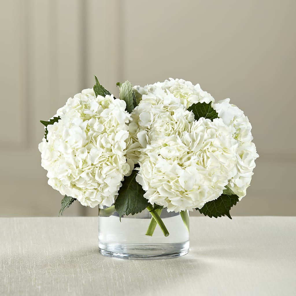 White Hydrangea Bouquet – HOLLOW TREE GIFTS & FLORAL LLC, Cascade IA
