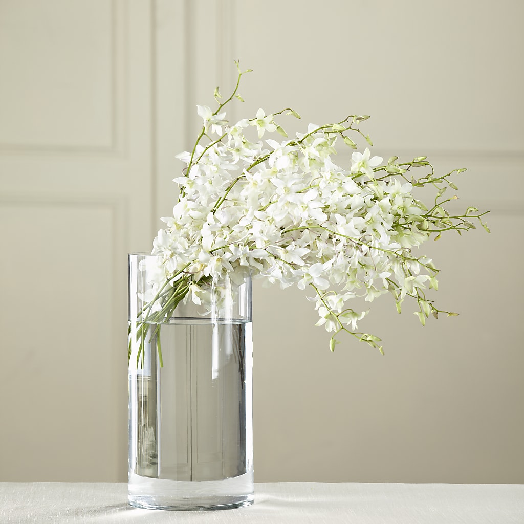 White Dendrobium Bouquet – HOLLOW TREE GIFTS & FLORAL LLC, Cascade IA