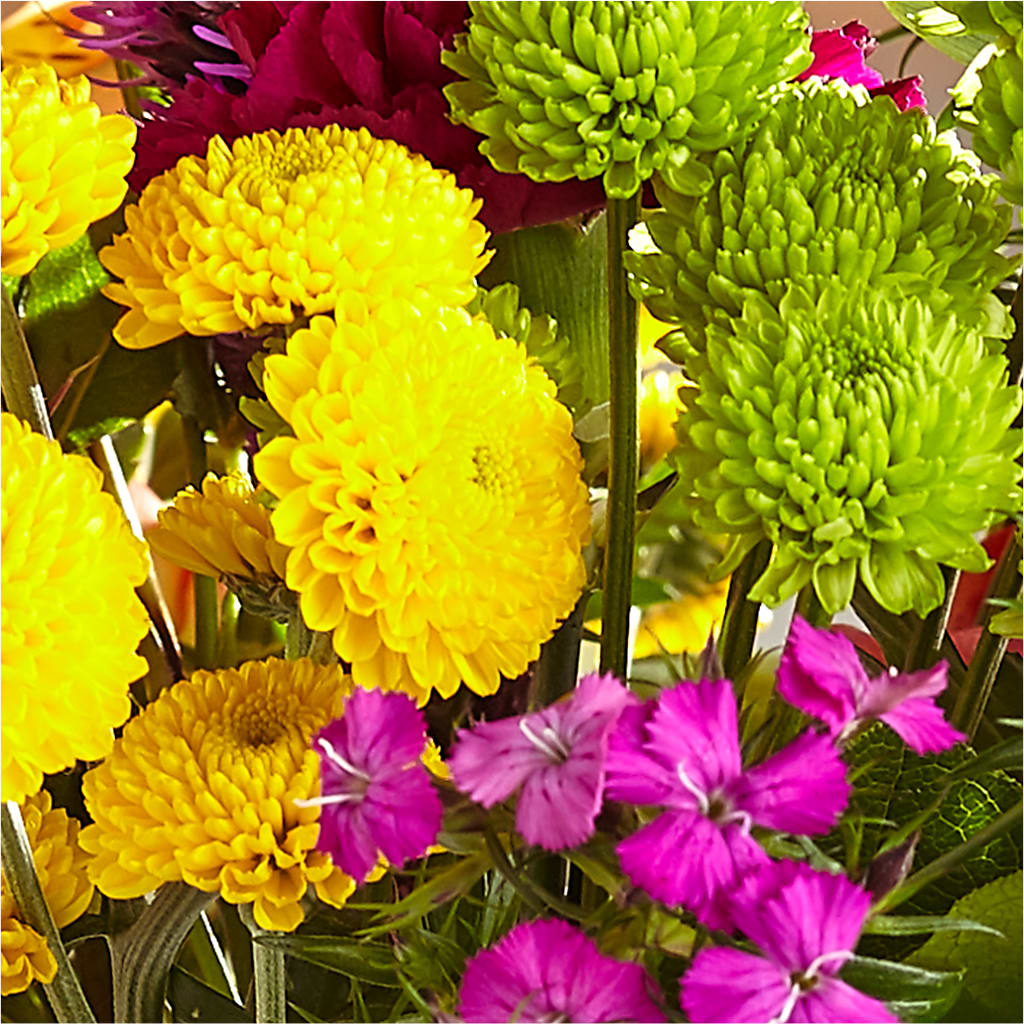 Bold & Bright – A Florist Original – HOLLOW TREE GIFTS & FLORAL LLC, Cascade IA