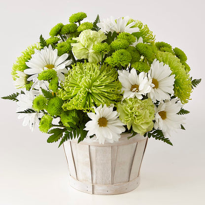Lucky Charm Basket (Standard) – HOLLOW TREE GIFTS & FLORAL LLC, Cascade IA