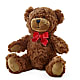 Adorable Plush Bear – HOLLOW TREE GIFTS & FLORAL LLC, Cascade IA