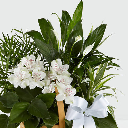 Peace & Serenity Dishgarden – HOLLOW TREE GIFTS & FLORAL LLC, Cascade IA