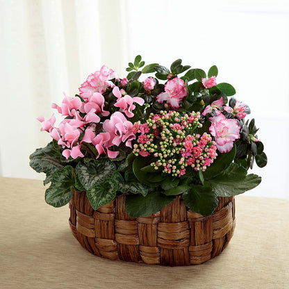 Pink Assortment – HOLLOW TREE GIFTS & FLORAL LLC, Cascade IA