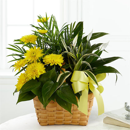 Loving Light Dishgarden – HOLLOW TREE GIFTS & FLORAL LLC, Cascade IA