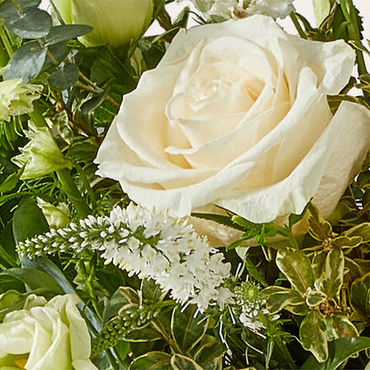 Cashmere Bouquet – HOLLOW TREE GIFTS & FLORAL LLC, Cascade IA