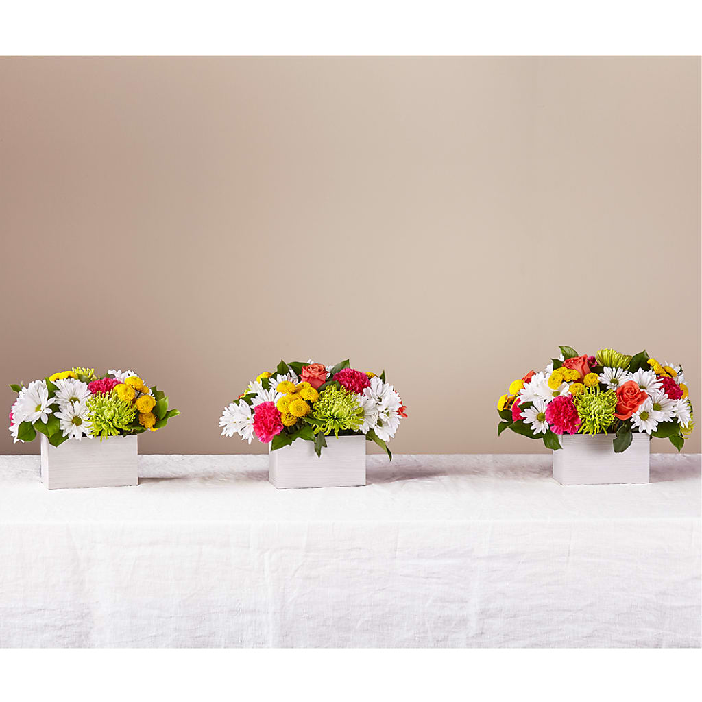 Sorbet Bouquet – HOLLOW TREE GIFTS & FLORAL LLC, Cascade IA