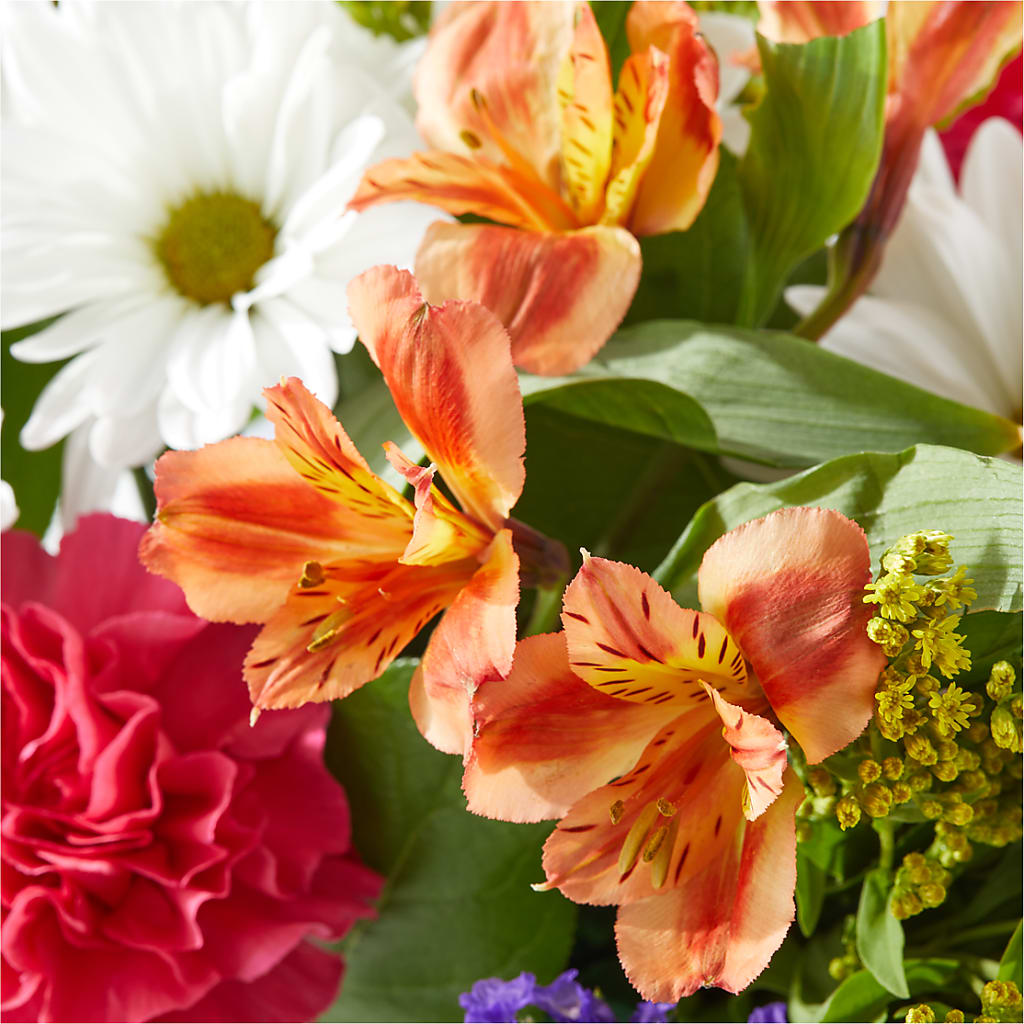 Oopsie Daisy Box Bouquet – HOLLOW TREE GIFTS & FLORAL LLC, Cascade IA