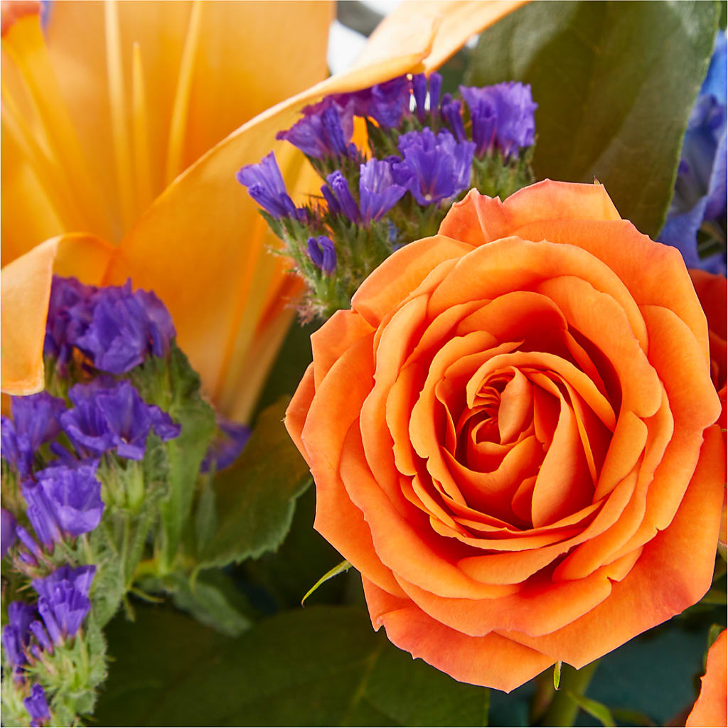 Radiant Citrus Box Bouquet – HOLLOW TREE GIFTS & FLORAL LLC, Cascade IA