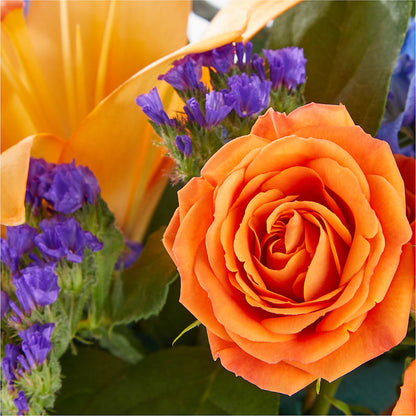 Radiant Citrus Box Bouquet – HOLLOW TREE GIFTS & FLORAL LLC, Cascade IA