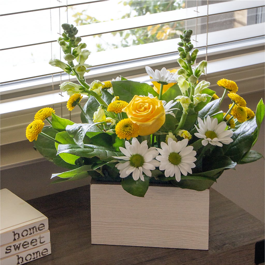 Sun Salutation Box Bouquet – HOLLOW TREE GIFTS & FLORAL LLC, Cascade IA