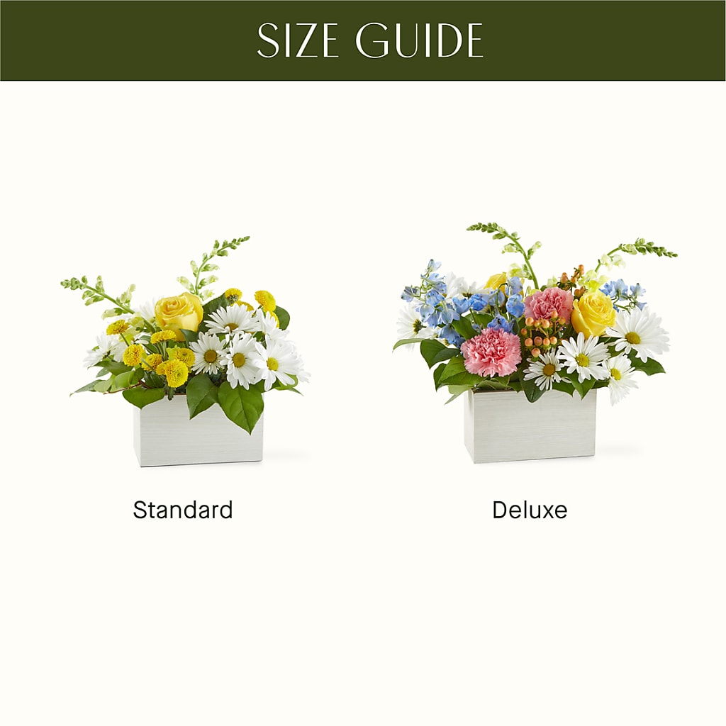 Sun Salutation Box Bouquet – HOLLOW TREE GIFTS & FLORAL LLC, Cascade IA