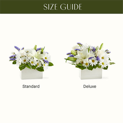 Beyond Blue Box Bouquet – HOLLOW TREE GIFTS & FLORAL LLC, Cascade IA