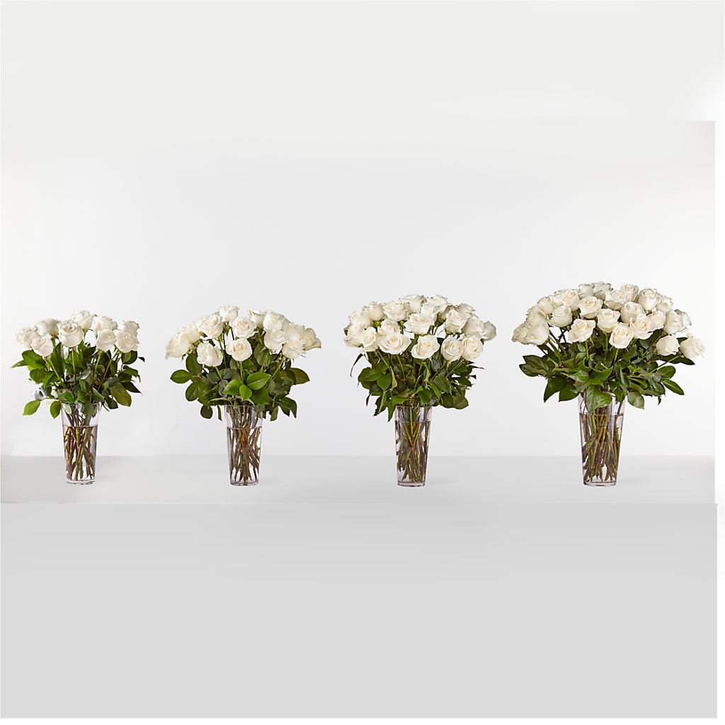 Long Stem White Rose Bouquet – HOLLOW TREE GIFTS & FLORAL LLC, Cascade IA