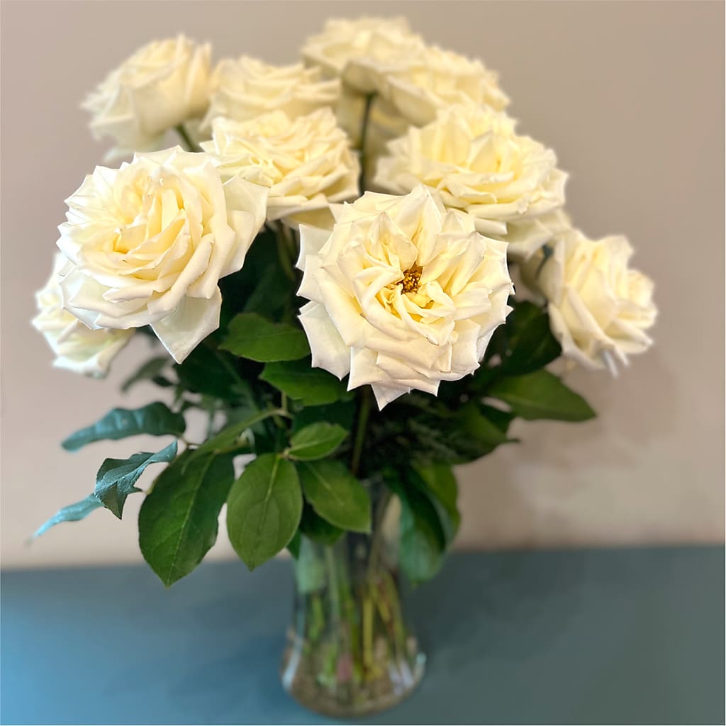 Long Stem Yellow Rose Bouquet – HOLLOW TREE GIFTS & FLORAL LLC, Cascade IA