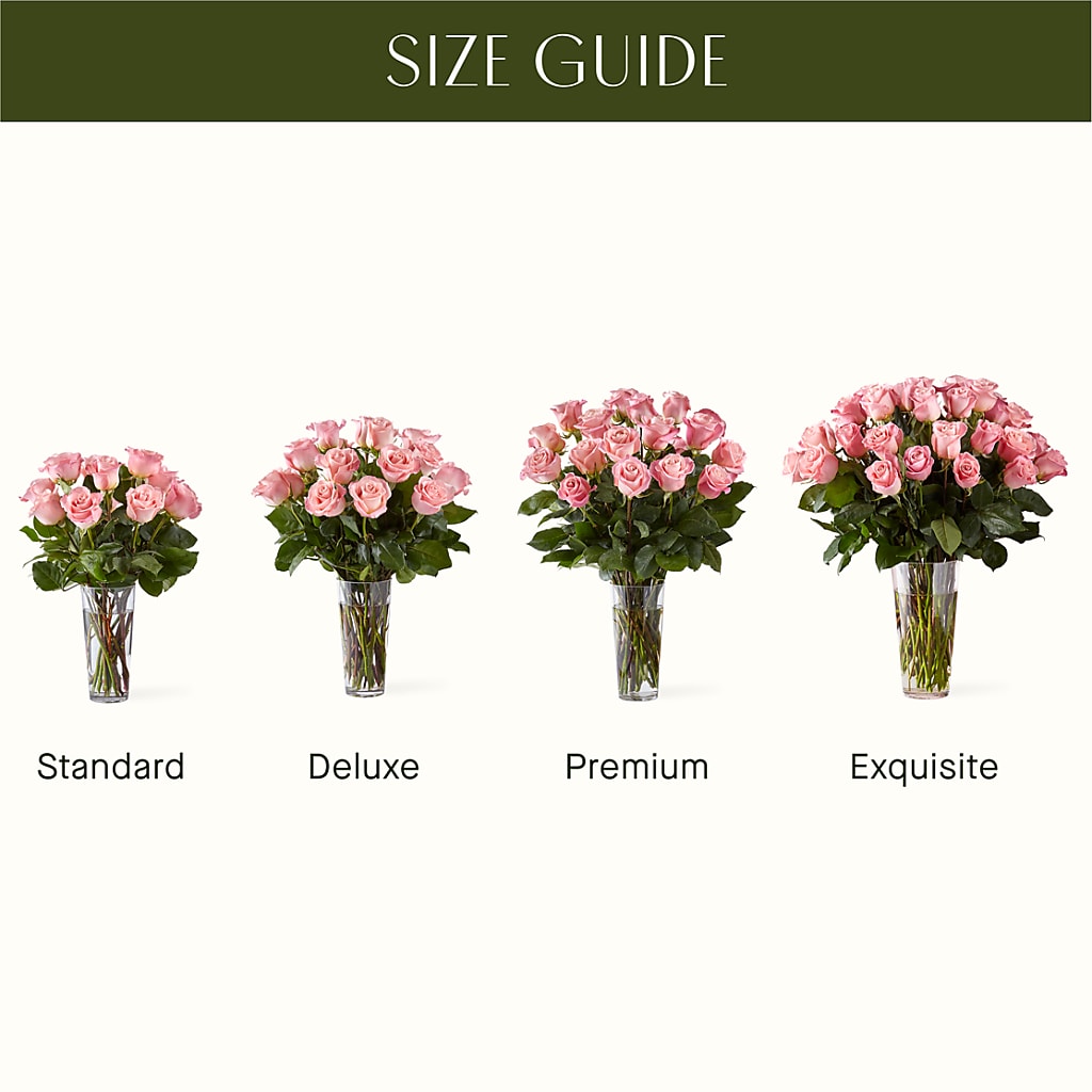 Long Stem Pink Rose Bouquet – HOLLOW TREE GIFTS & FLORAL LLC, Cascade IA