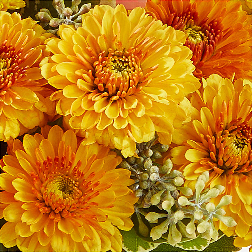 Peachy Pumpkin – HOLLOW TREE GIFTS & FLORAL LLC, Cascade IA