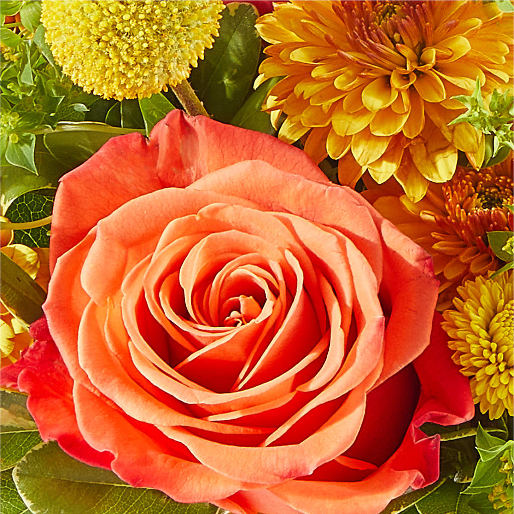 Gourdgeous Pumpkin – HOLLOW TREE GIFTS & FLORAL LLC, Cascade IA