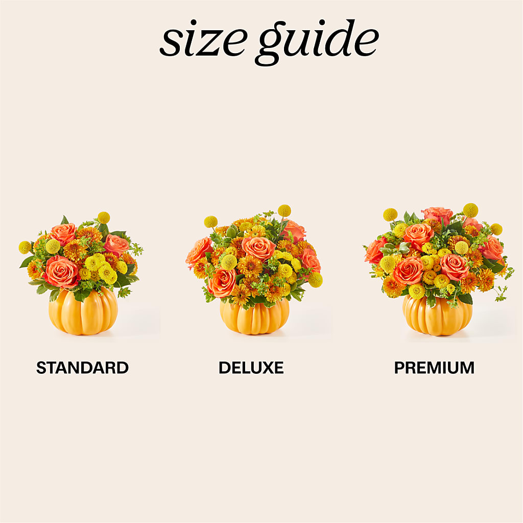 Gourdgeous Pumpkin – HOLLOW TREE GIFTS & FLORAL LLC, Cascade IA
