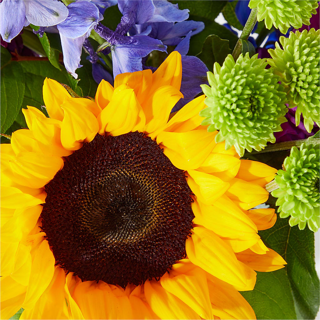 Catching Rays Bouquet – HOLLOW TREE GIFTS & FLORAL LLC, Cascade IA