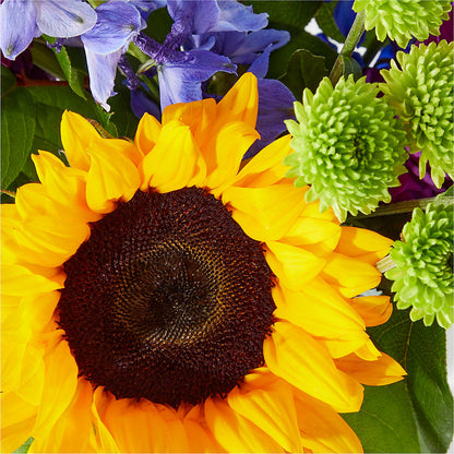 Catching Rays Bouquet – HOLLOW TREE GIFTS & FLORAL LLC, Cascade IA
