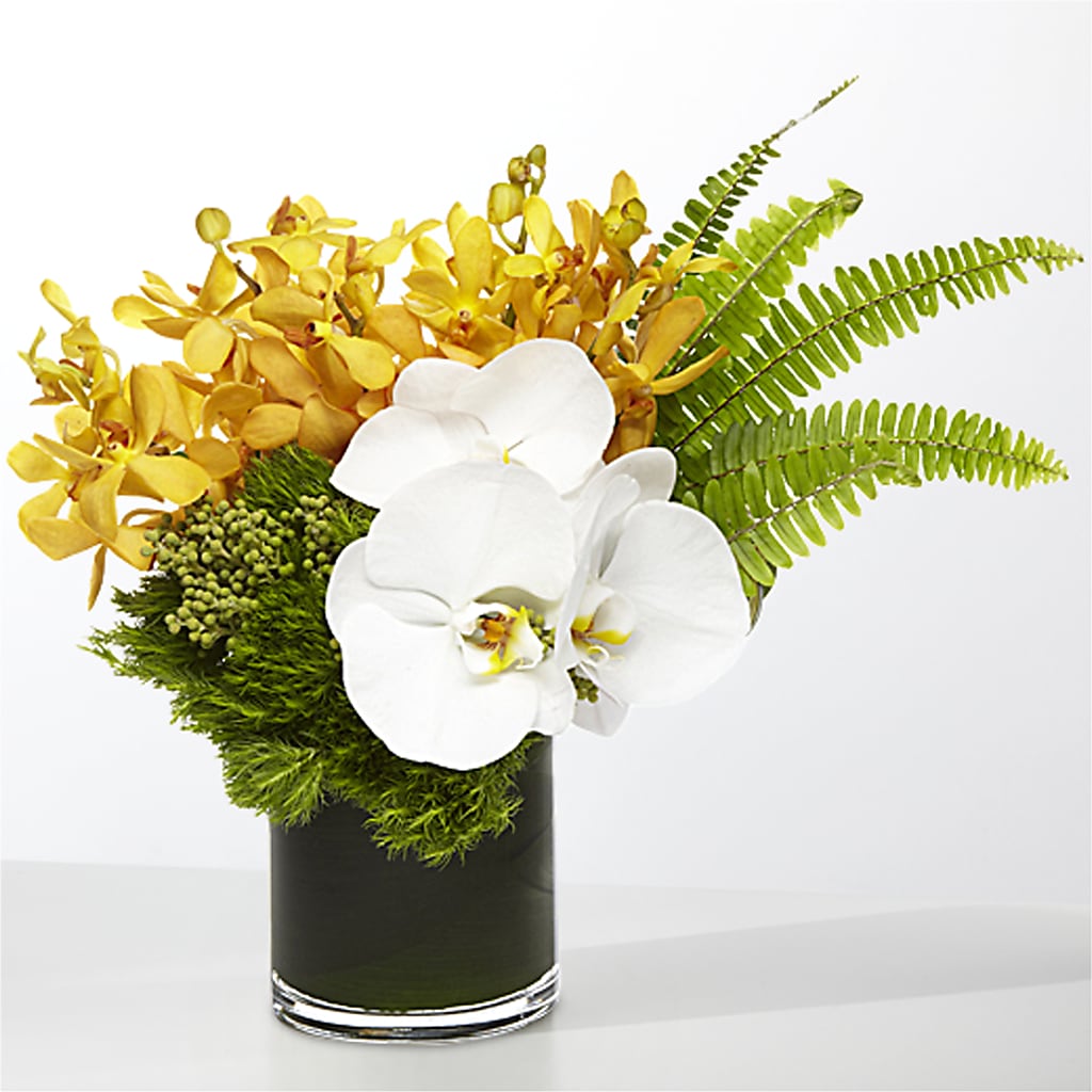 The Tropics – HOLLOW TREE GIFTS & FLORAL LLC, Cascade IA