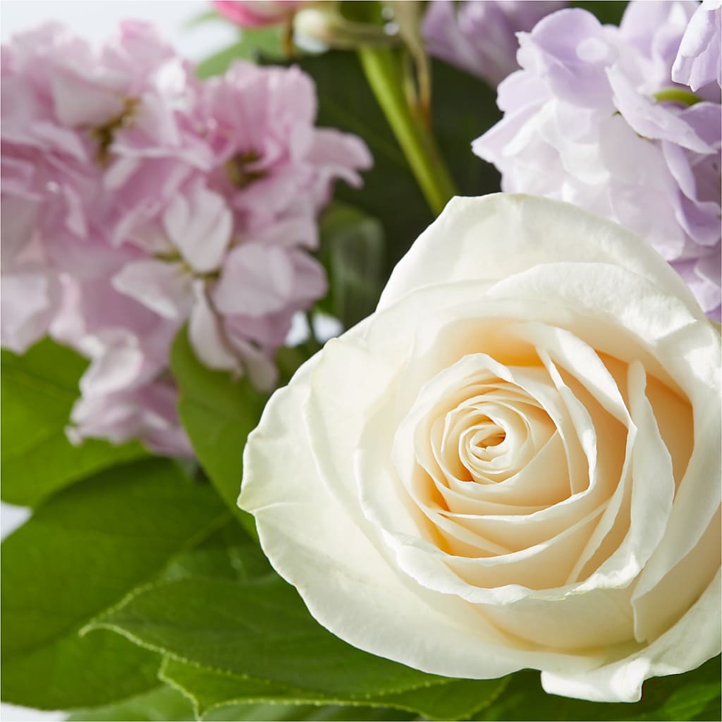 Springtime Spritz Bouquet – HOLLOW TREE GIFTS & FLORAL LLC, Cascade IA