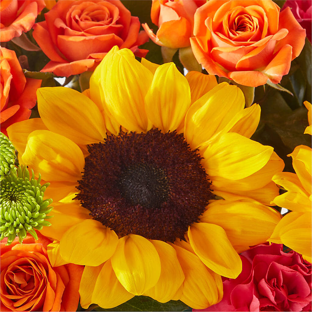 Sun-drenched Blooms Box Bouquet – HOLLOW TREE GIFTS & FLORAL LLC, Cascade IA